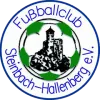 SG FSV Grün-Weiß Steinbach-Hallenb.