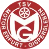 SG TSV Motor Gispersleben