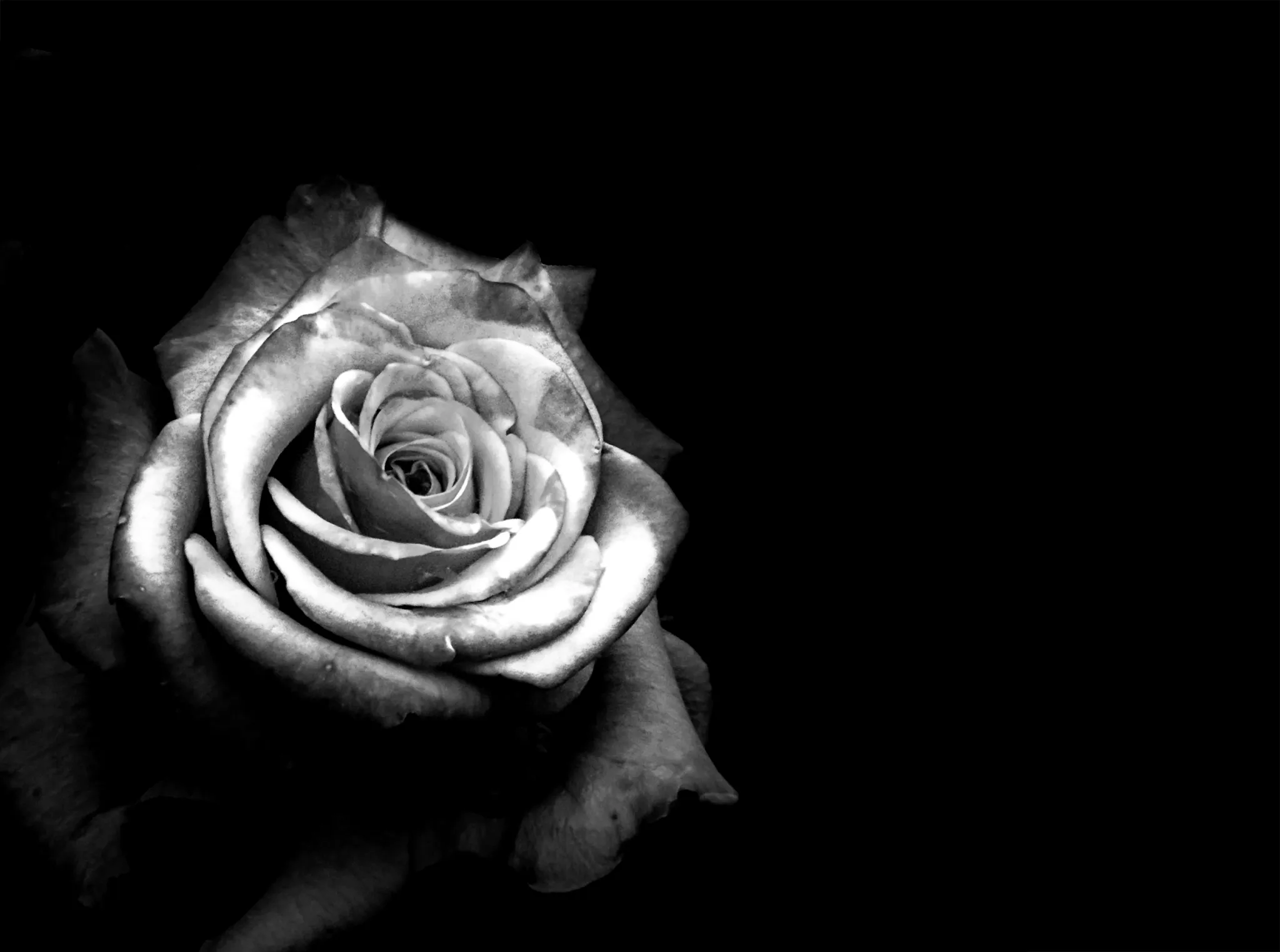 Nun muss das Stadion-Grün ohne Schütti wachsen