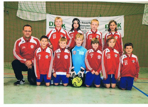 E2 mit kämpferischer Leistung in Zwickau