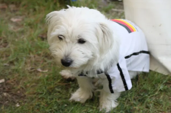 Vereinsfest 09.06.2012