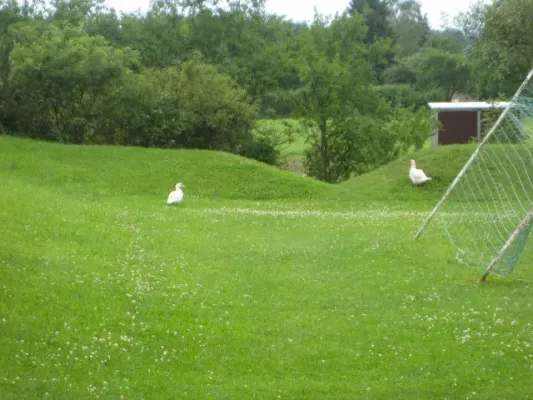 Testspiel: TSV Sundhausen-Wacker Gotha