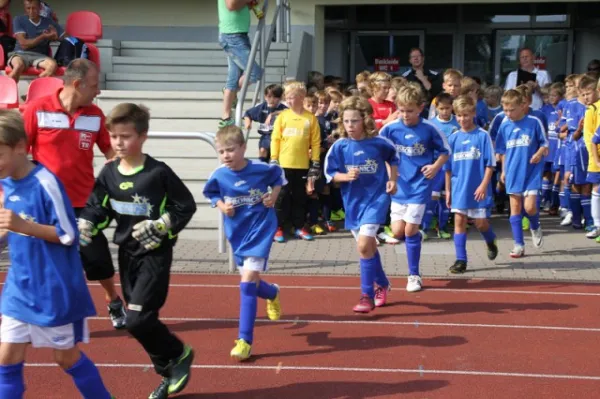 E-Junioren: Wacker Sommer-Cup 2013