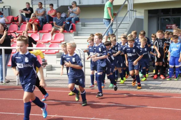 E-Junioren: Wacker Sommer-Cup 2013
