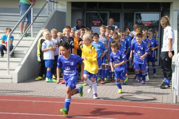 E-Junioren: Wacker Sommer-Cup 2013