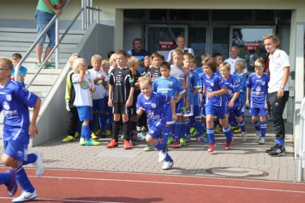 E-Junioren: Wacker Sommer-Cup 2013