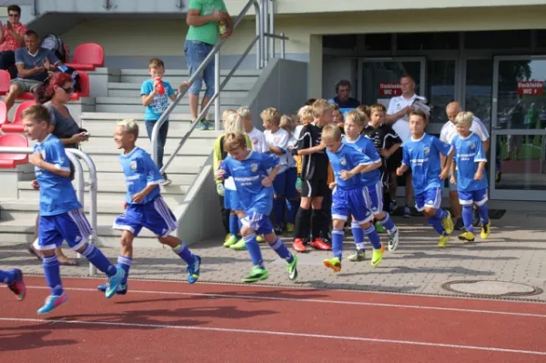 E-Junioren: Wacker Sommer-Cup 2013
