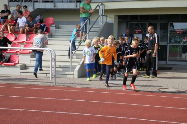 E-Junioren: Wacker Sommer-Cup 2013