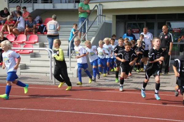 E-Junioren: Wacker Sommer-Cup 2013