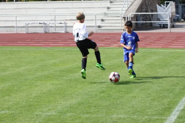 E-Junioren: Wacker Sommer-Cup 2013