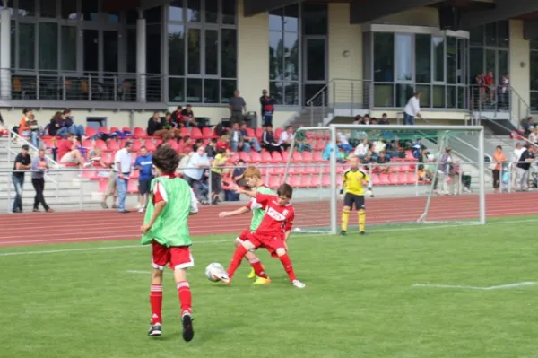 D-Junioren: Wacker Sommer-Cup 2013