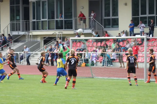 D-Junioren: Wacker Sommer-Cup 2013