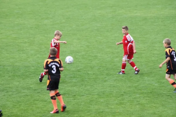 D-Junioren: Wacker Sommer-Cup 2013