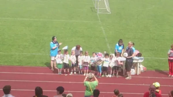 Mini-WM 2014
