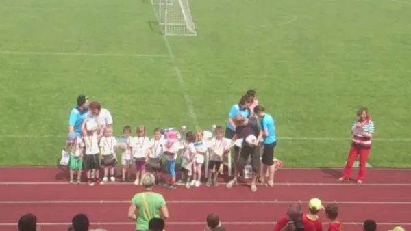 Mini-WM 2014