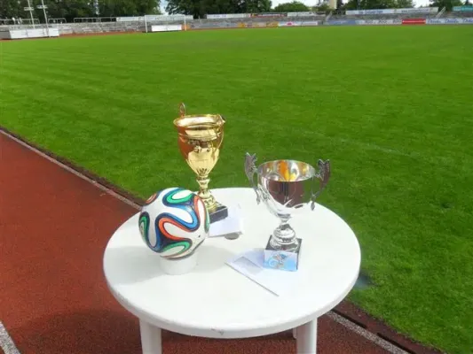Mini-WM 2014