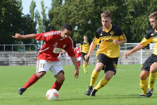 02. Wacker Gotha-SV Struth-Helmershof