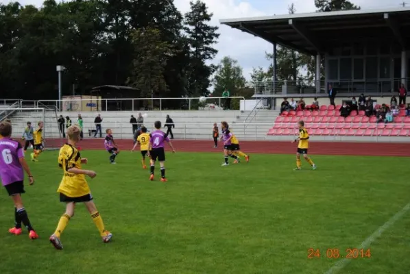 D-Junioren: Wacker Enery Cup