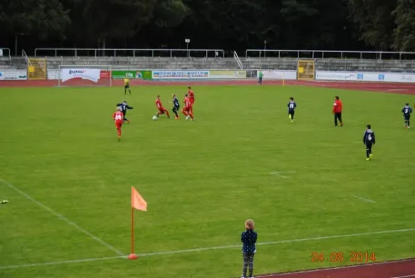 D-Junioren: Wacker Enery Cup