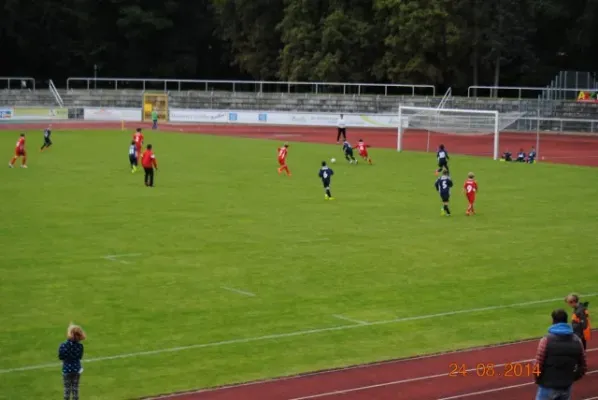 D-Junioren: Wacker Enery Cup