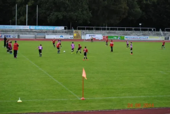 D-Junioren: Wacker Enery Cup