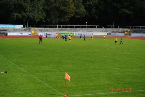 D-Junioren: Wacker Enery Cup