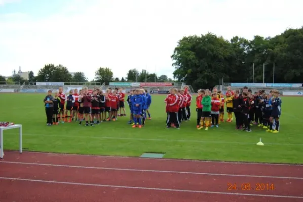 D-Junioren: Wacker Enery Cup