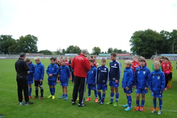 D-Junioren: Wacker Enery Cup