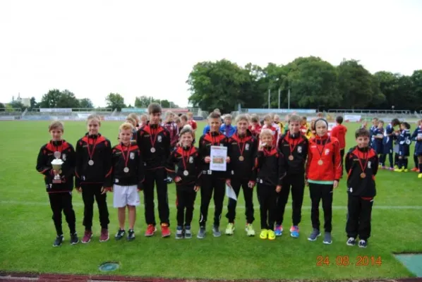 D-Junioren: Wacker Enery Cup