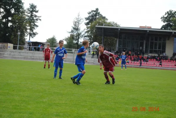 E-Junioren: Wacker Energy Cup