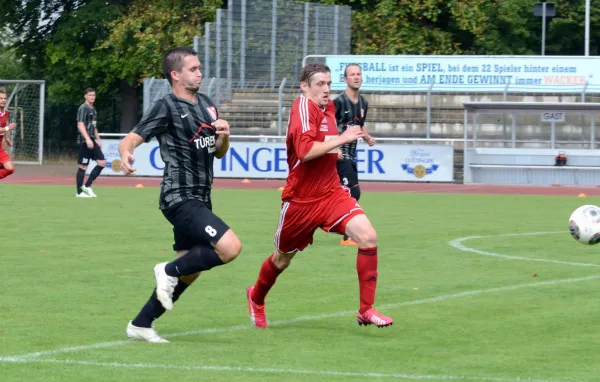 Wacker Gotha-SG Herpfer SV