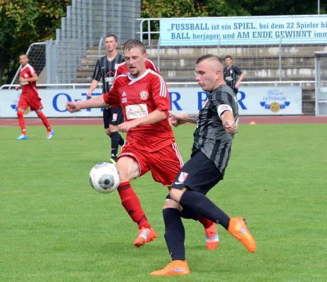 Wacker Gotha-SG Herpfer SV